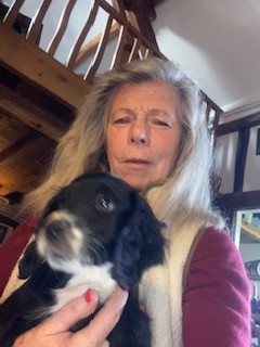 De Javelot Des Granges - Chiots disponibles - Cocker Spaniel Anglais